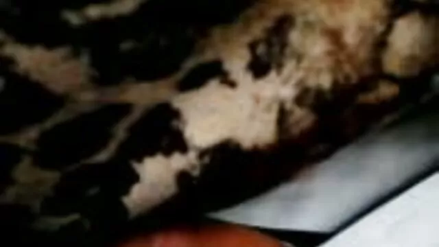 بهترین انجمن بدون ثبت نام  دختر می خواهد فعال فیلم سکسی پسر با مرد باشد.