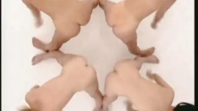 بهترین انجمن بدون ثبت نام  خدمتکار دیدم یک استاد جوان در حال پاک کردن چوب عكس سكس وحشيانه چوب است