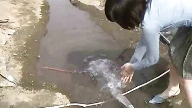 بهترین انجمن بدون ثبت نام  یک اسباب بازی با الاغ بزرگ به خوبی کلیپ سکس زناشویی با واژن کار می کند